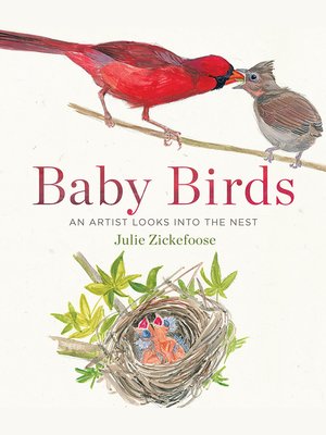 cover image of Baby Birds